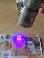 21 LED UV Torch Counterfeit Fake Bank  Money Detector FREE BATTERIES