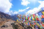  Packs - Tibetan Buddhist Prayer Flags Wind Horses - Made In Nepal