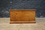 Antique 19thC Elm Trunk / Chest / Blanket Box ~Hallway Bedroom Living Room Decor