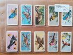 Brooke Bond Canada-Songbirds Of North America(1959)-Full set of 48 in sleeves-VG