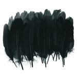 4-6" Natural Goose Feathers Bulk for Crafts, 300 Pack Black
