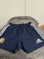 Adidas British Lions 2013 Rugby Leisure Shorts Size 32” In Great Condition VRare
