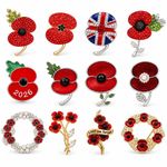 2026 UK Popi Pin Badge Brooch Never Forget Veterans Military Remembrance GADGET
