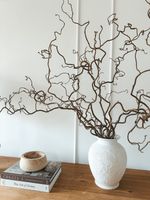 Real Decorative Dried Twisted Corylus Hazel Branches Wabi Sabi Twigs for Vase
