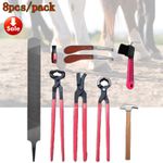 Farrier Tool Kit Hoof Clincher Nipper RASP for Horse Care Trimming Tool Sets UK