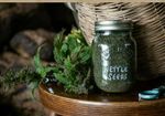 Stinging Nettle Seeds Dried Premium Quality Organic Urtica Dioica 100g/4oz. BIO