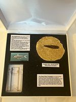 Knightia Fish Fossil, Eocene Period, Green River Formation, Natural, Unpolished