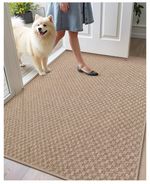 Large Door Matts Indoor 81 x 122 cm, Thin Indoor Door Mats Non Slip,...