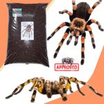 Spider Soil, Tarantula Substrate * PREMIUM GRADE* Great for Any Type Of Set-Up