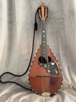 Luigi Embergher Mandolin (1916)