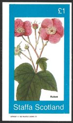 Staffa Scotland, 1982, Flowers, Plant, MNH M/S Imperf Sheet #M1770