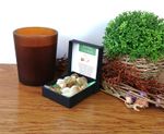 35g Natural Citrine Crystals Chakra Reiki Healing Collectable Presentation Box