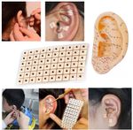 60x  Vaccaria Acupuncture Ear Seeds, Alternative Chinese Medicine - UK Supplier