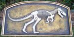 Rare Large Resin Velociraptor Dinosaur Skeleton Fossil Wall Art Board 156 x 87cm