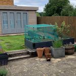 Fruit & Vegetable Cage With Green Butterfly Netting – Various Sizes Available