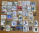 40 BIRD GB Used Stamps Off Paper Collection, Thematics, Different.