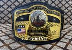 NWA Domed Globe Championship Title Belt Limited Edition Collector's Item CNC 4mm