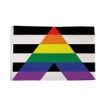 Flagtex Straight Ally Flag Ally Flag Straight Ally Pride Flag with Eyelets