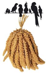 Premium Millet Spray Springs Bird Treat Budgie Canary Cockatiel Finch Parrot