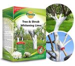 Lime for Tree and Shrub Whitening – Frost Protection & Pest Control