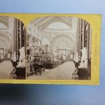 London England Stereoview C1862 Real Photo Great Exhibition West Dome Taxidermy