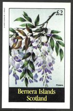 Bernera Islands Scotland, 1982, £2 Flowers, MNH Imperf M/S Sheet #M2748