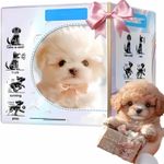 New AI Robot Dog,Smart Realistic Robot Puppy Interactive Plush Dog for Adul