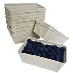 Nutley's Fruit Punnets Fibre Biodegradable Compostable Recycled 250g