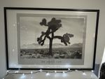 U2 Joshua Tree Athena Poster 1980s Original , Rare , Excellent Condition