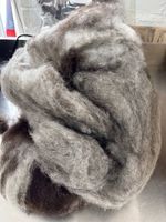British Jacob Wool Batt Carded for Spinning or Needle Felting
