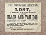 1871 Lost Dog Victorian Poster Broadside Black and Tan Terrier lost in Preston