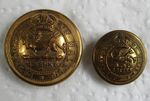 2x British Army: Royal Berkshire Regiment Brass Buttons (25mm-18mm, WW1-WW2)