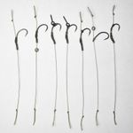 Solid PVA Bag Carp Rigs - 10 Pack! 7 Variants! (Sizes: 4, 6 or 8)