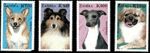 Zambia #Mi979-Mi982 MNH 1999 Dogs Corgi Spaniel Greyhound Sheep [804-807]
