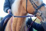 Official Libby's Loop Handled Reins (R.D.A)