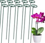 Plant Support Stakes Garden Flower Support Single Stem Plant Support Stakes UK