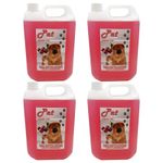 Pet Cattery Kennel Disinfectant Deodoriser Cleaner Pet Guard 4 x 5L Cherry Pop
