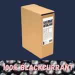 Blackcurrant Nothing More Juice 100% Fruit-Based 3L Family Pack 21 days fresh