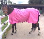 New BEST QUALITY Lightweight PINK turnout rug/rain sheet no fill 600 Denier