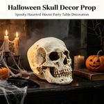 Human Skull Replica Resin Model Medical Realistic Life Size 1:1 Skeleton Decor
