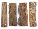 4 Tree bark pieces for floristry, model making diorama. texture rock effect 1931