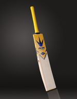Mids Sports Test Cricket Bat - Brand New and Factory Sealed