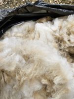 Alpaca Unprocessed Fleece.  Blanket Only High Quality 1.2kg