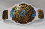 Intercontinental new women’s heavyweight champion wrestling belt replica 2mm 