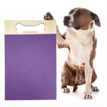 Dog Scratch Pad for Nails Interactive Pet Toy Nail Care Nail Scratcher Board