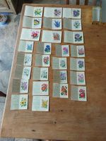Kensitas Vintage Silk Embroidered Flower Cigarette Cards