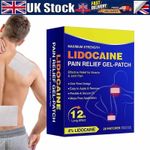 Pain Relief Patch 20 Pieces Patches for Muscle & Joint Pain，knee Shoulder Care