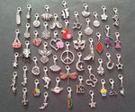 Clip On Dangle Charms Memory Locket / Bracelet / Keyring Buy 2 Get 1 Free List 2