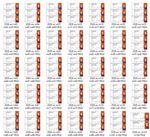 facsimile souvenir set of all 104 2026 worldcup tournament tickets