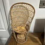 Wicker Rattan Peacock Plant Stand Boho Decor Rattan Doll Chair Fan Back 16" 